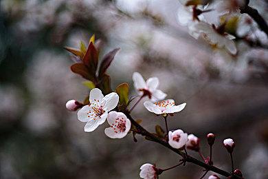 外媒称《星空》《博德之门3》容量太大 硬盘都塞满了